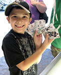 Kid Excited about Collecting Upper Deck Trading Cards