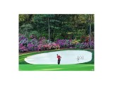 Tiger Woods Autographed “Azalea” 40 x 30
